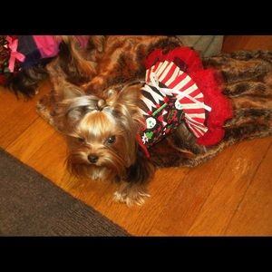 Ruffled corset dog dress